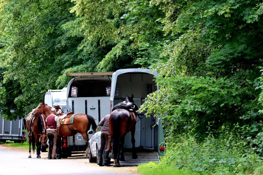 Tower Farm Equine Cleaning Services Ltd Horse Trailer